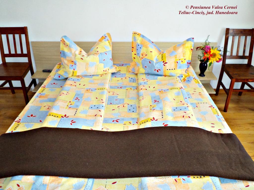 Pensiunea Valea Cernei Teliucu Inferior 部屋 写真