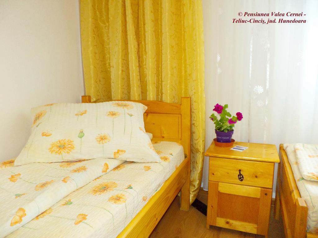 Pensiunea Valea Cernei Teliucu Inferior 部屋 写真