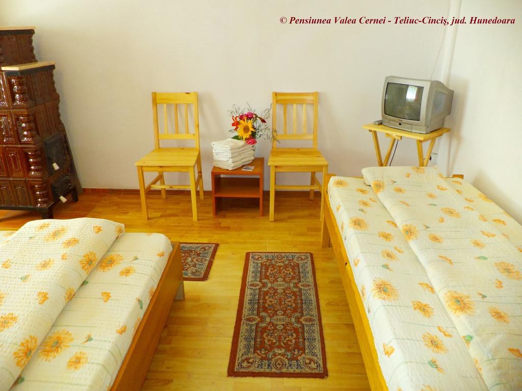 Pensiunea Valea Cernei Teliucu Inferior 部屋 写真