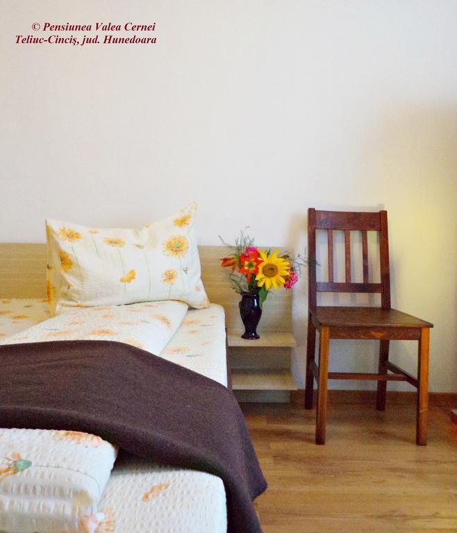 Pensiunea Valea Cernei Teliucu Inferior 部屋 写真
