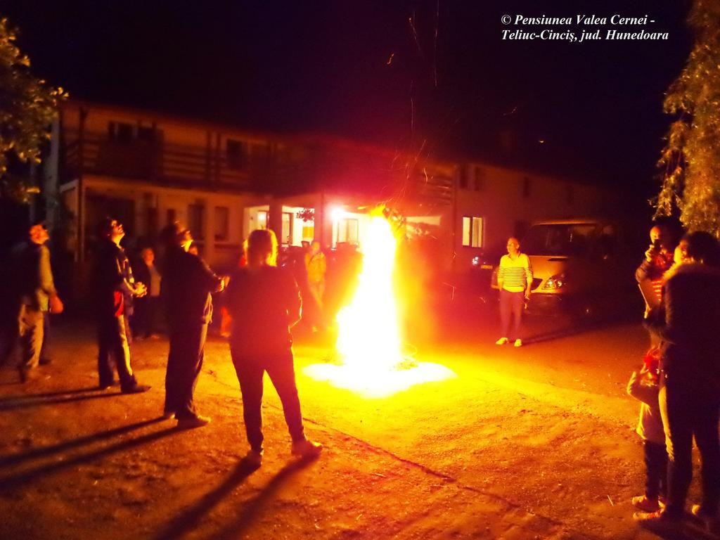 Pensiunea Valea Cernei Teliucu Inferior エクステリア 写真