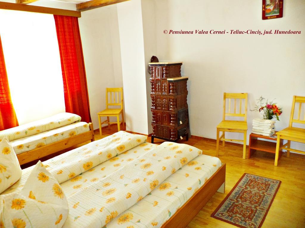 Pensiunea Valea Cernei Teliucu Inferior 部屋 写真