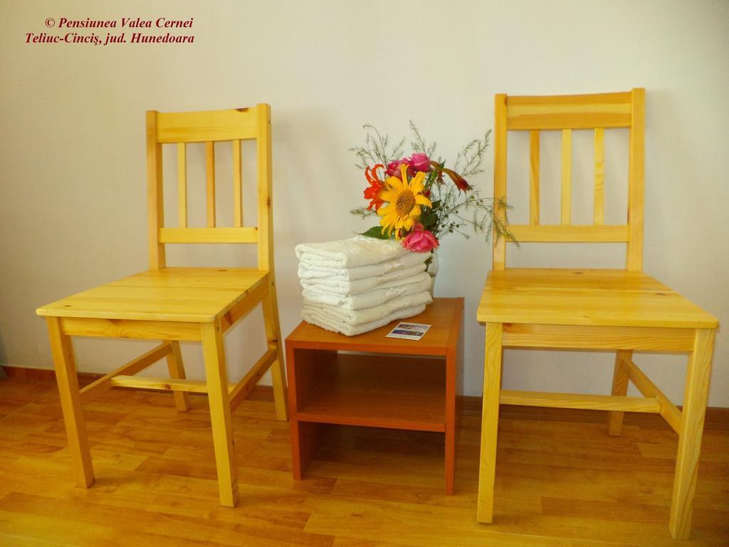Pensiunea Valea Cernei Teliucu Inferior 部屋 写真