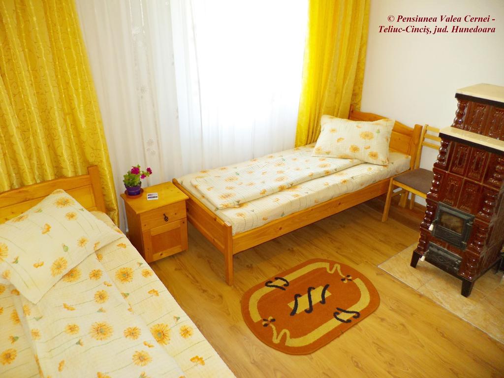 Pensiunea Valea Cernei Teliucu Inferior 部屋 写真