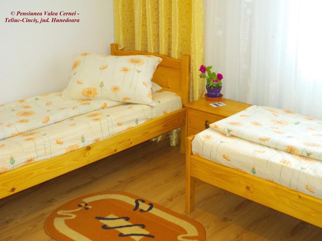 Pensiunea Valea Cernei Teliucu Inferior 部屋 写真