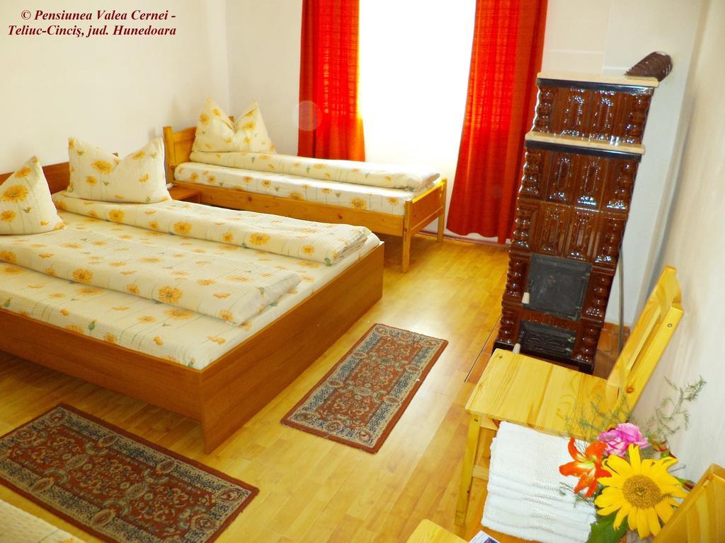 Pensiunea Valea Cernei Teliucu Inferior 部屋 写真