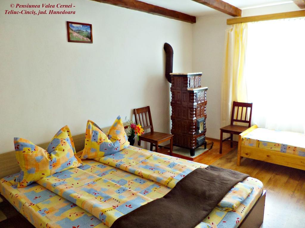 Pensiunea Valea Cernei Teliucu Inferior 部屋 写真
