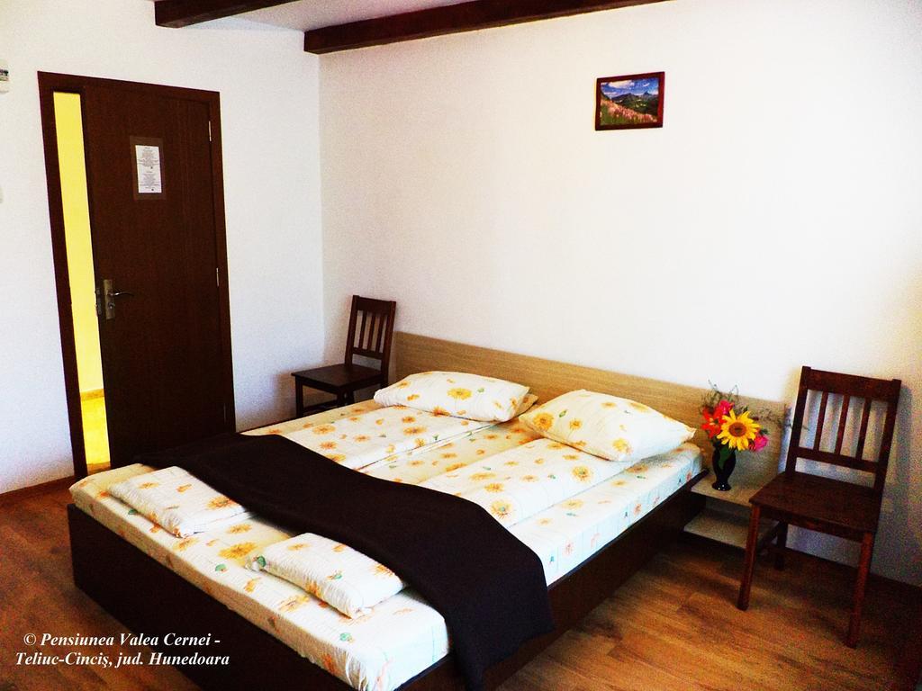 Pensiunea Valea Cernei Teliucu Inferior 部屋 写真