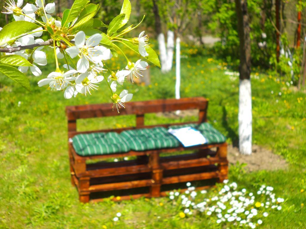 Pensiunea Valea Cernei Teliucu Inferior エクステリア 写真